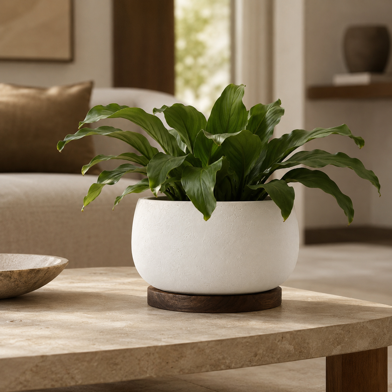 Cachepot Valmont em Cerâmica Texturizada com Base em Nogueira